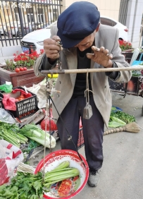 自立自强的卖菜老人