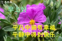 重阳节的祝福20231023