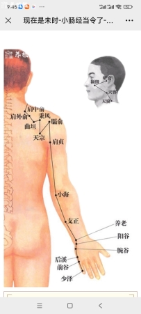 时辰养生—未时—小肠经当令