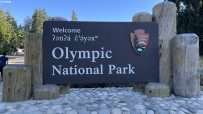 北上游记之五—Olympic National Park