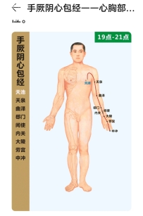 聊聊手厥阴心包经